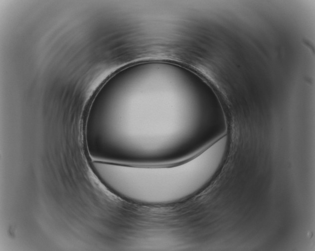 X0000103461468200809191800
