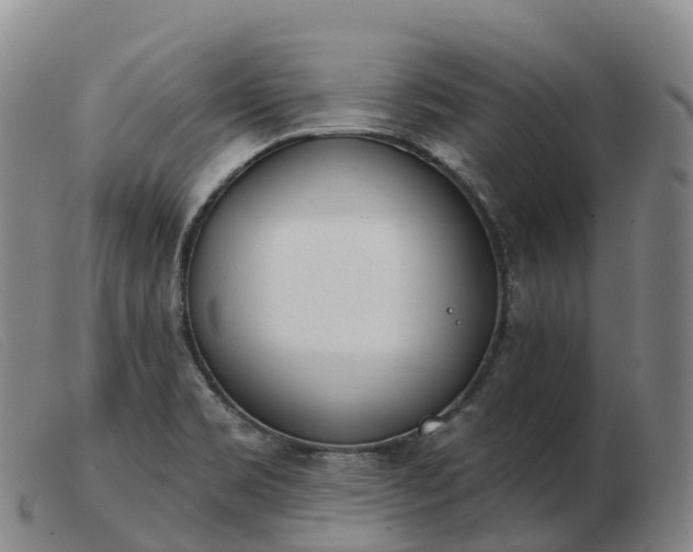 X0000103461469200809191800