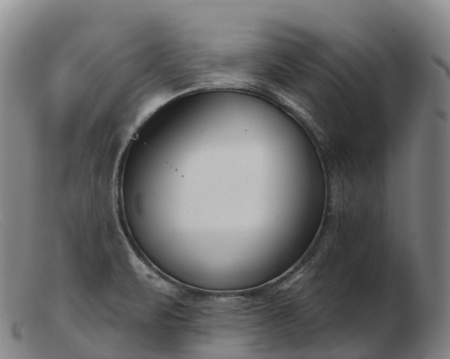 X0000103461471200809191800