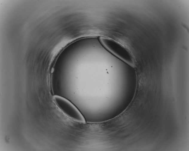 X0000103461472200809191800