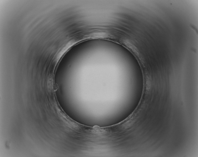 X0000103461473200809191800