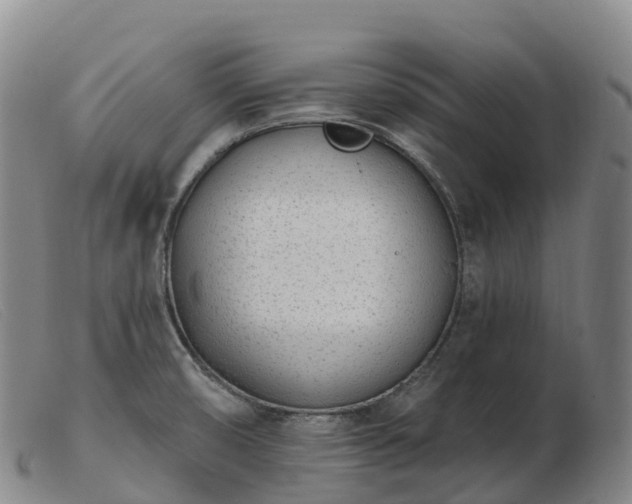 X0000103461474200809191800