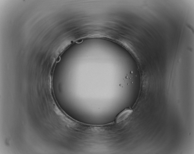 X0000103461476200809191800