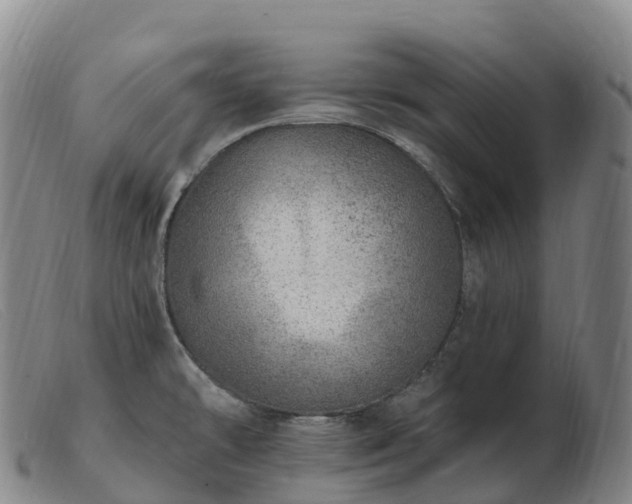 X0000103461478200809191800