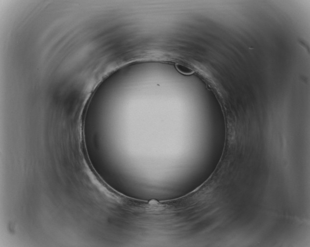 X0000103461479200809191800