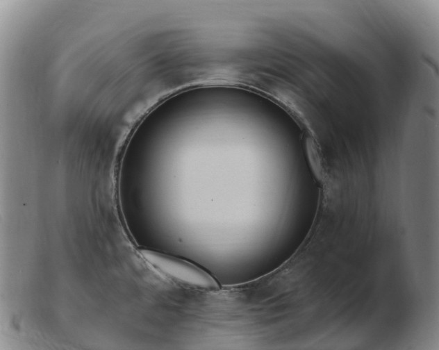 X0000103461480200809191800