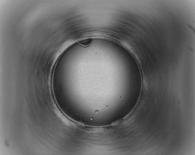 X0000103461482200809191800