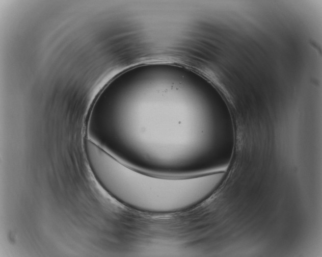 X0000103461484200809191800