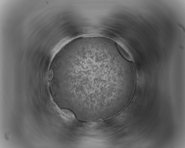 X0000103461485200809191800