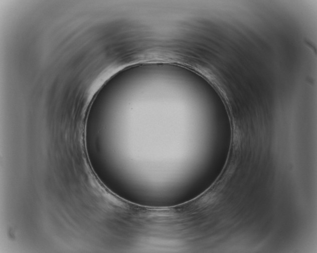 X0000103461486200809191800