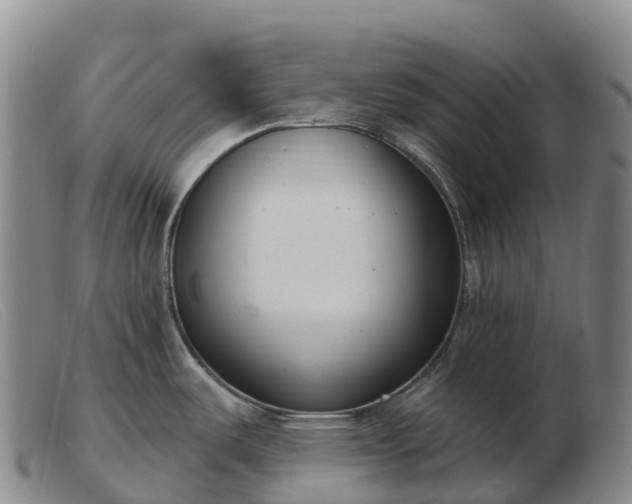 X0000103461487200809191800
