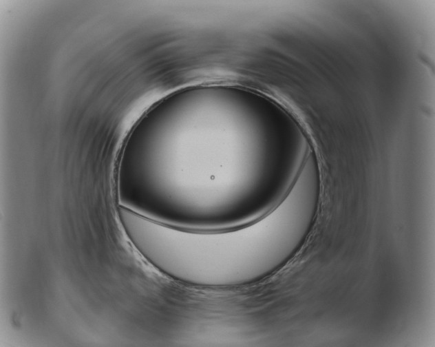X0000103461488200809191800
