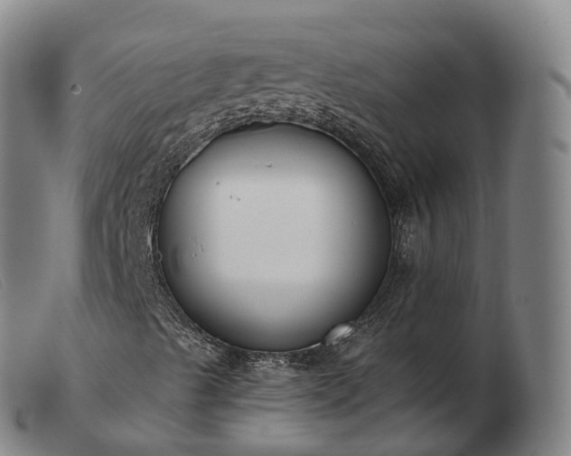 X0000103461489200809191759
