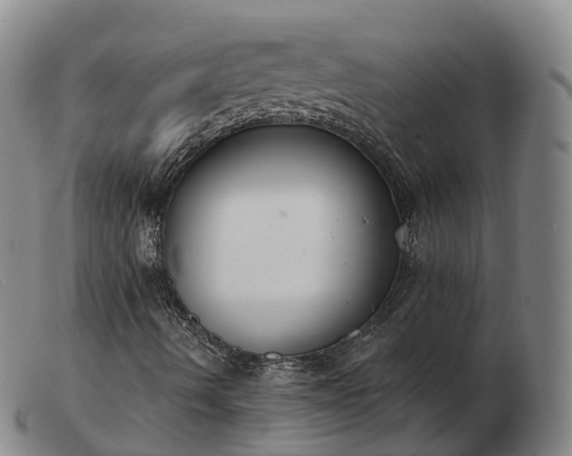 X0000103461490200809191759