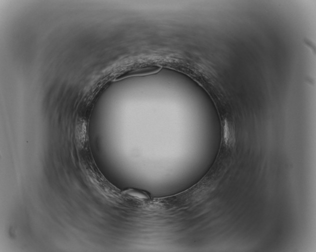 X0000103461492200809191759