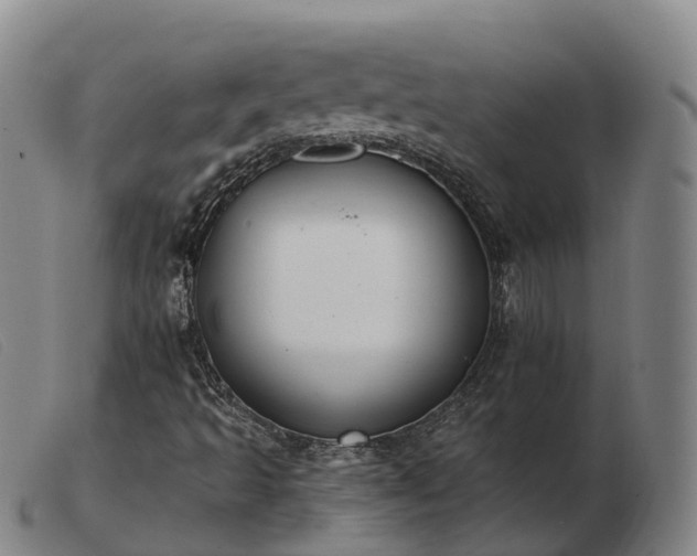 X0000103461493200809191759