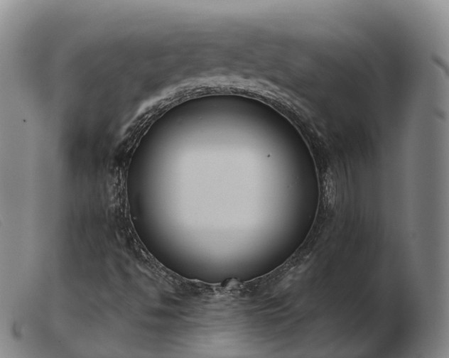 X0000103461494200809191759