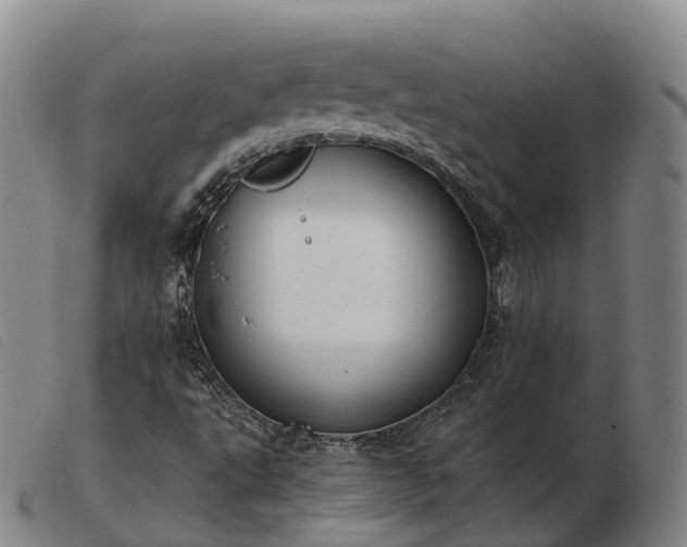 X0000103461495200809191759