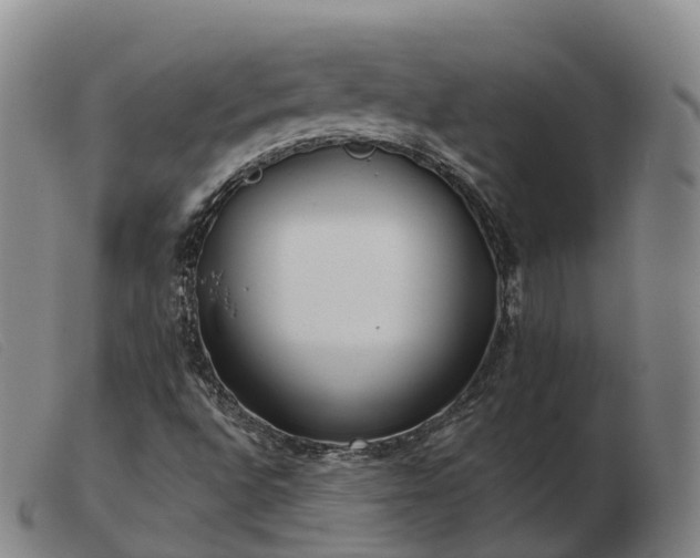 X0000103461496200809191759