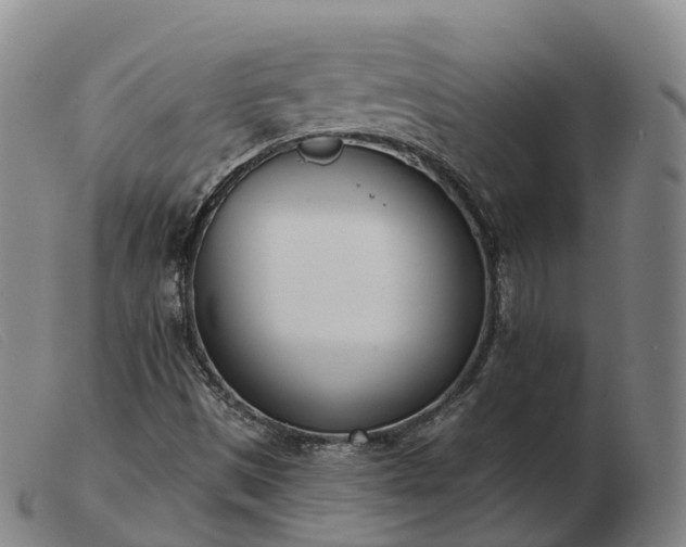 X0000103461497200809191759
