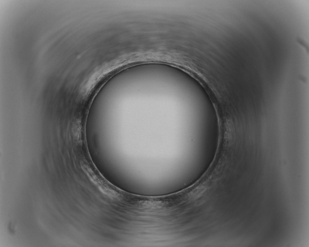 X0000103461499200809191759