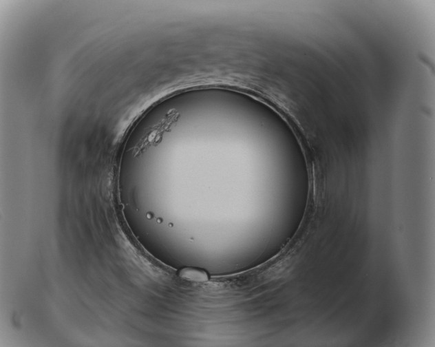 X0000103461500200809191759