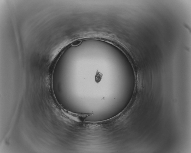 X0000103461501200809191759