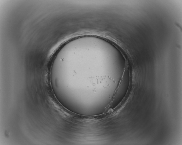 X0000103461502200809191759