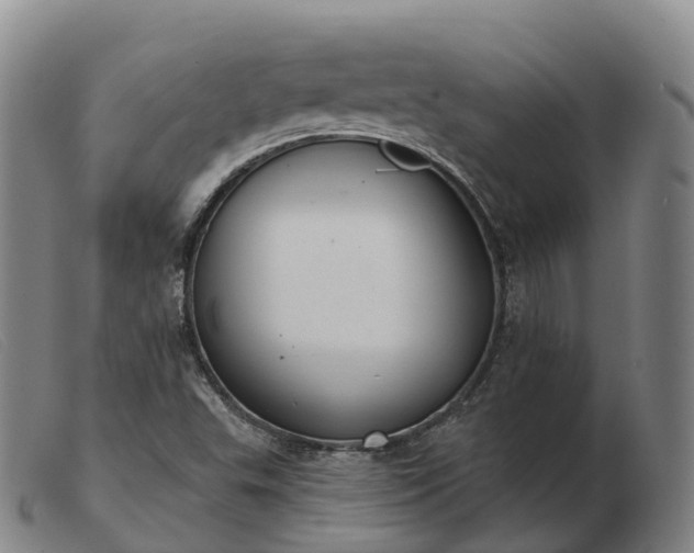 X0000103461503200809191759