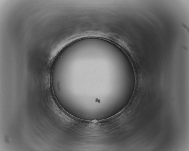 X0000103461504200809191759