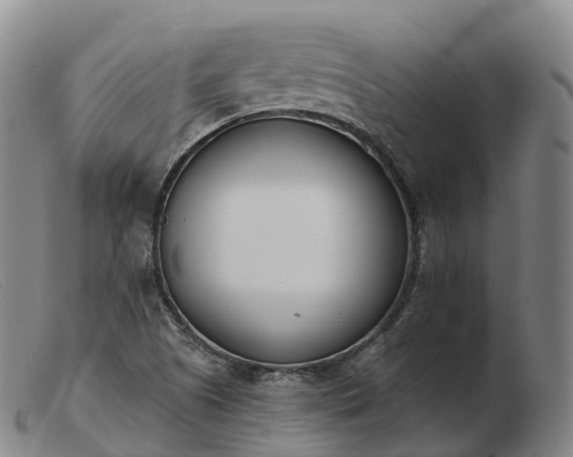 X0000103461505200809191759