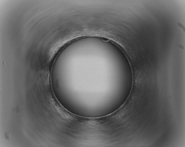 X0000103461507200809191759