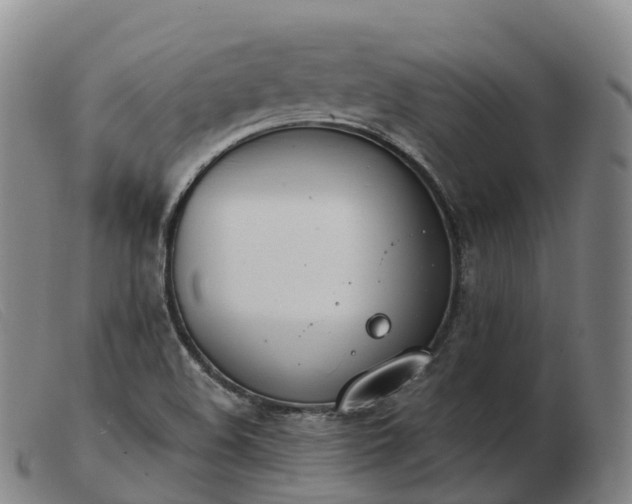 X0000103461508200809191759