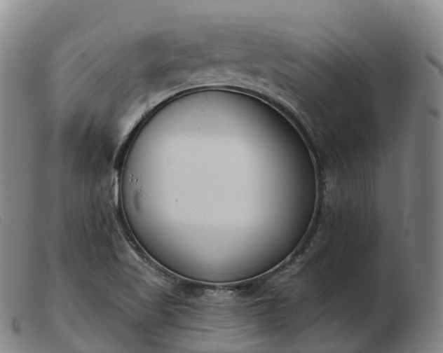 X0000103461509200809191759