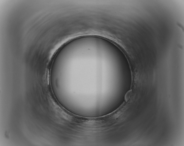 X0000103461510200809191759