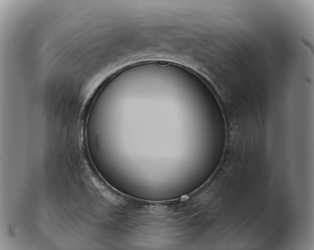 X0000103461511200809191759