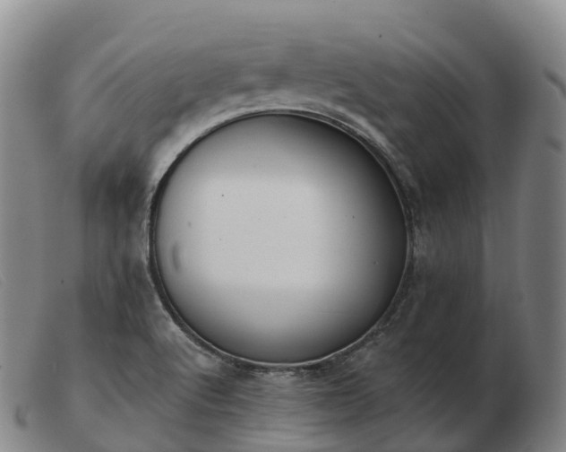 X0000103461512200809191759