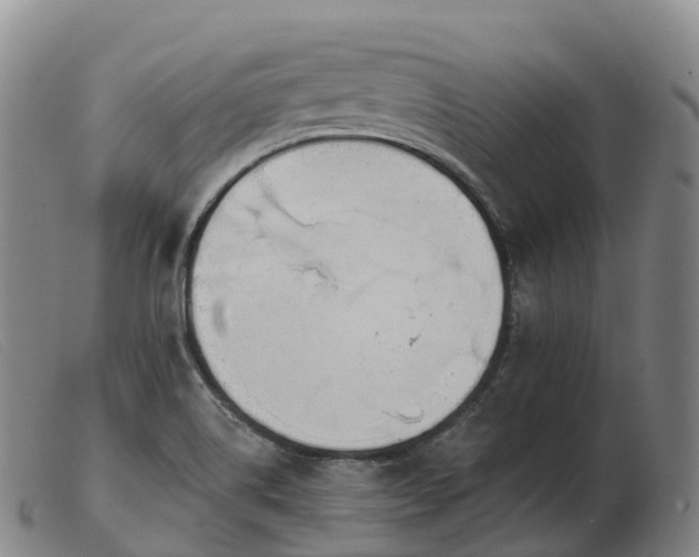 X0000103461514200809191759