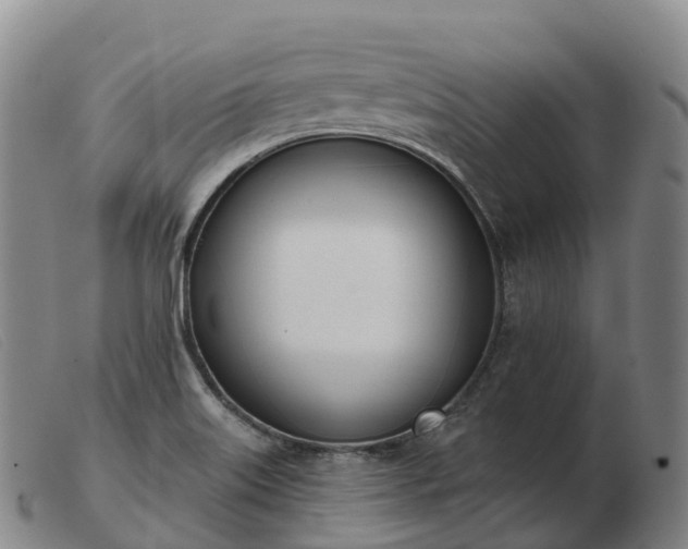 X0000103461515200809191759