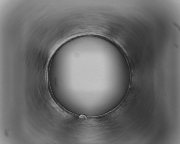 X0000103461516200809191759