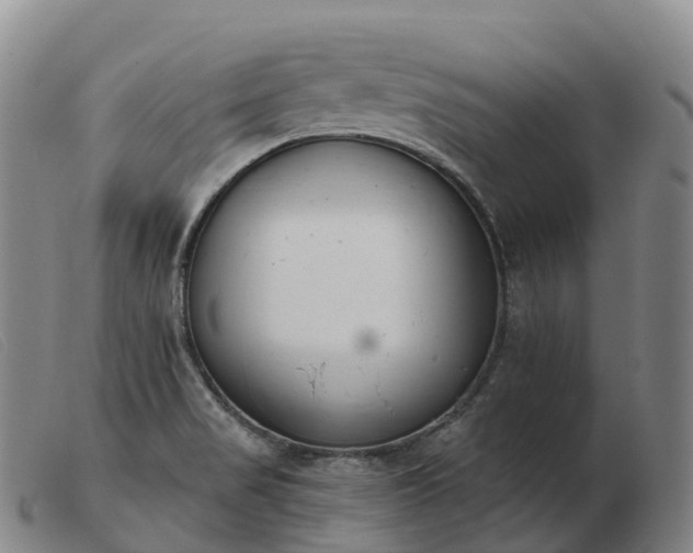 X0000103461517200809191759