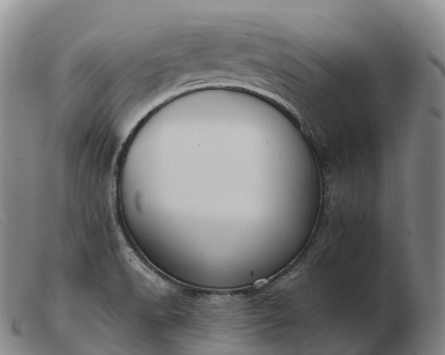 X0000103461518200809191759