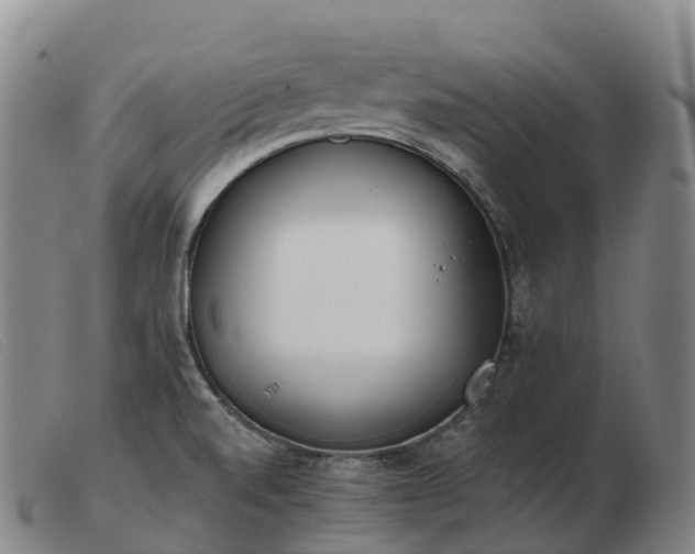 X0000103461520200809191759