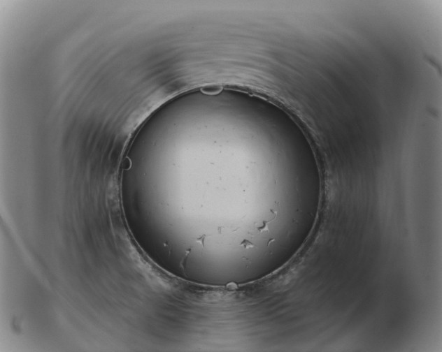 X0000103461521200809191759