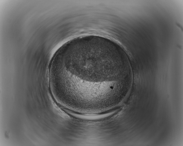 X0000103461522200809191759