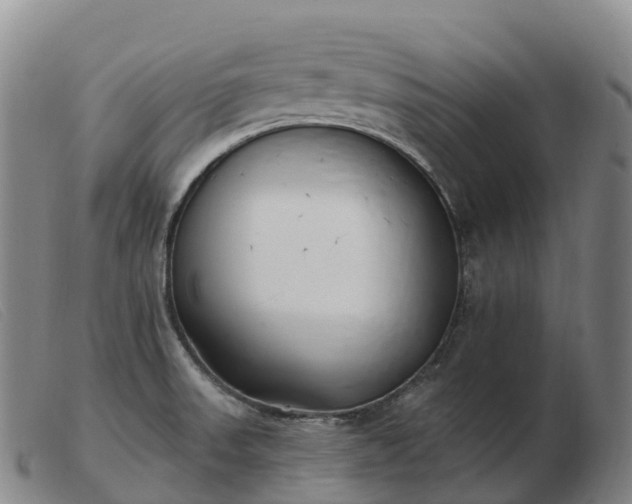 X0000103461523200809191759