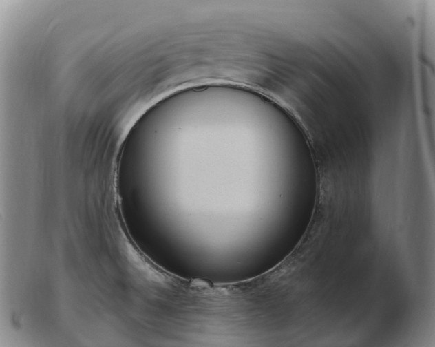 X0000103461524200809191759
