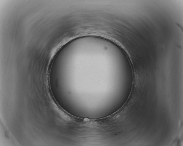 X0000103461525200809191759