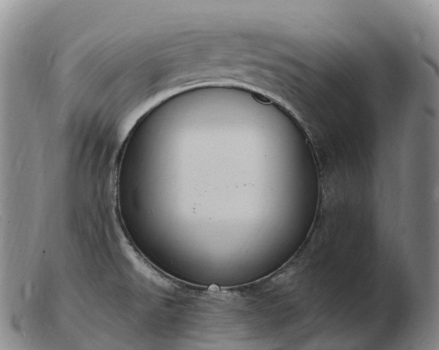 X0000103461526200809191759
