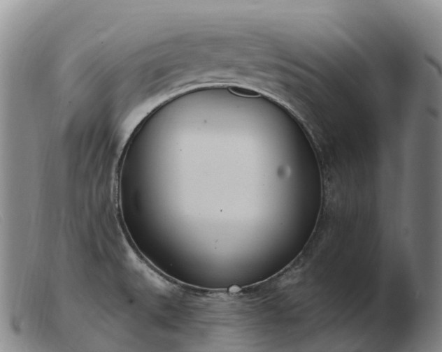 X0000103461527200809191759
